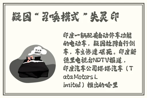 AAAA级毛皮是纯还是仿
